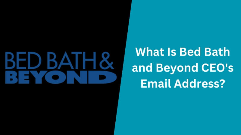Bed Bath and Beyond CEO Email